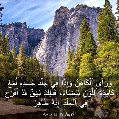 Picture 03 - اَللَّاوِيِّينَ 13:39 AVD - وَرَأَى ٱلْكَاهِنُ - Bible Verse Picture