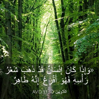 Picture 03 - اَللَّاوِيِّينَ 13:40 AVD - «وَإِذَا كَانَ إِنْسَانٌ - Bible Verse Picture