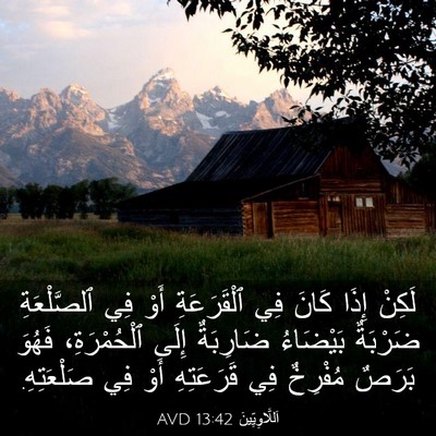 Picture 03 - اَللَّاوِيِّينَ 13:42 AVD - لَكِنْ إِذَا كَانَ فِي - Bible Verse Picture