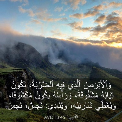 Picture 03 - اَللَّاوِيِّينَ 13:45 AVD - وَٱلْأَبْرَصُ ٱلَّذِي - Bible Verse Picture