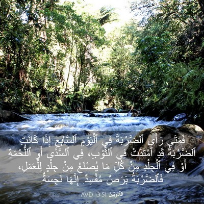 Picture 03 - اَللَّاوِيِّينَ 13:51 AVD - فَمَتَى رَأَى ٱلضَّرْبَةَ - Bible Verse Picture