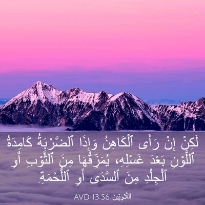 Picture 03 - اَللَّاوِيِّينَ 13:56 AVD - لَكِنْ إِنْ رَأَى - Bible Verse Picture