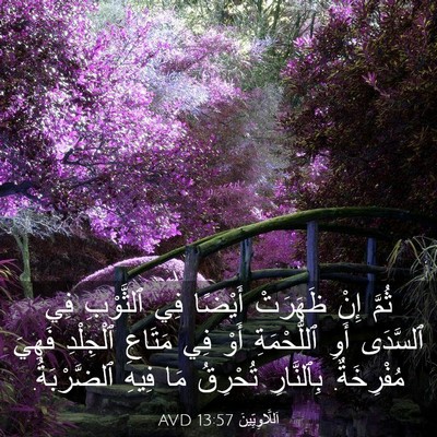 Picture 03 - اَللَّاوِيِّينَ 13:57 AVD - ثُمَّ إِنْ ظَهَرَتْ - Bible Verse Picture