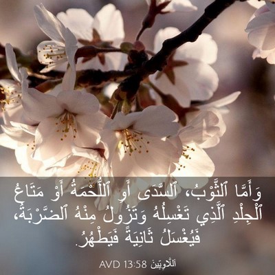 Picture 03 - اَللَّاوِيِّينَ 13:58 AVD - وَأَمَّا ٱلثَّوْبُ، - Bible Verse Picture