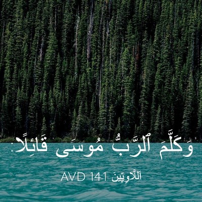Picture 03 - اَللَّاوِيِّينَ 14:1 AVD - وَكَلَّمَ ٱلرَّبُّ مُوسَى - Bible Verse Picture