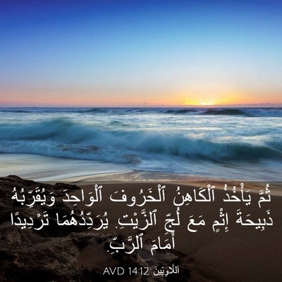 Picture 03 - اَللَّاوِيِّينَ 14:12 AVD - ثُمَّ يَأْخُذُ ٱلْكَاهِنُ - Bible Verse Picture