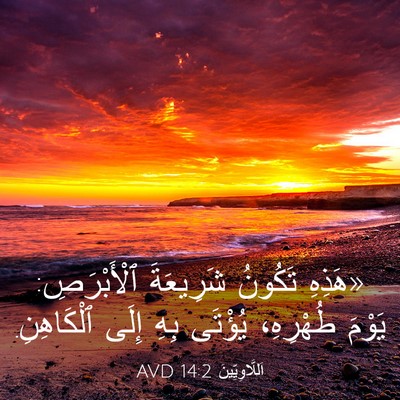 Picture 03 - اَللَّاوِيِّينَ 14:2 AVD - «هَذِهِ تَكُونُ شَرِيعَةَ - Bible Verse Picture