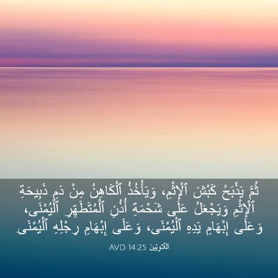Picture 03 - اَللَّاوِيِّينَ 14:25 AVD - ثُمَّ يَذْبَحُ كَبْشَ - Bible Verse Picture