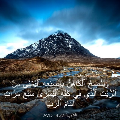 Picture 03 - اَللَّاوِيِّينَ 14:27 AVD - وَيَنْضِحُ ٱلْكَاهِنُ - Bible Verse Picture