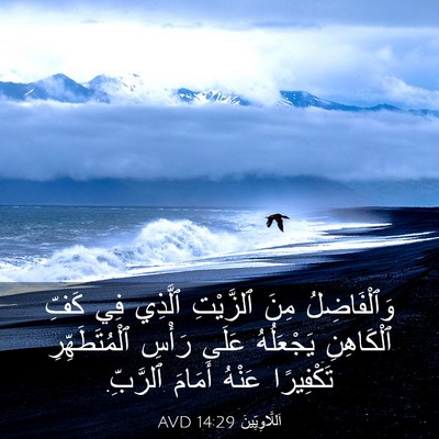 Picture 03 - اَللَّاوِيِّينَ 14:29 AVD - وَٱلْفَاضِلُ مِنَ - Bible Verse Picture
