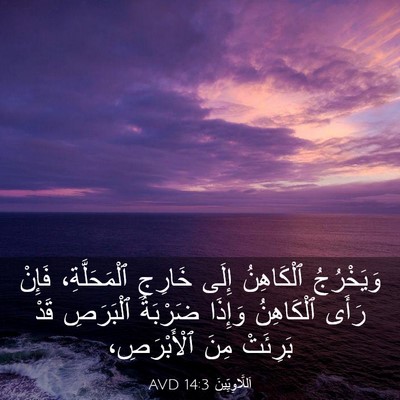 Picture 03 - اَللَّاوِيِّينَ 14:3 AVD - وَيَخْرُجُ ٱلْكَاهِنُ - Bible Verse Picture