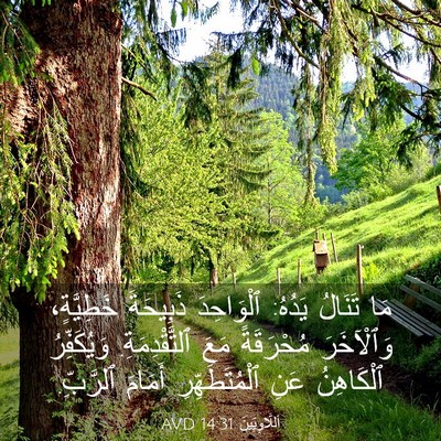Picture 03 - اَللَّاوِيِّينَ 14:31 AVD - مَا تَنَالُ يَدُهُ: - Bible Verse Picture