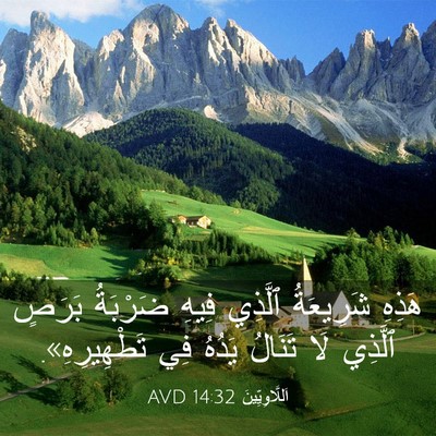 Picture 03 - اَللَّاوِيِّينَ 14:32 AVD - هَذِهِ شَرِيعَةُ ٱلَّذِي - Bible Verse Picture