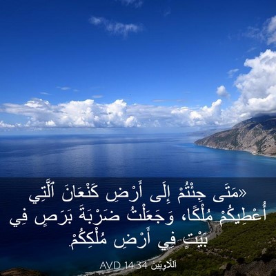 Picture 03 - اَللَّاوِيِّينَ 14:34 AVD - «مَتَى جِئْتُمْ إِلَى - Bible Verse Picture