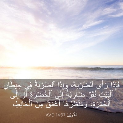 Picture 03 - اَللَّاوِيِّينَ 14:37 AVD - فَإِذَا رَأَى - Bible Verse Picture