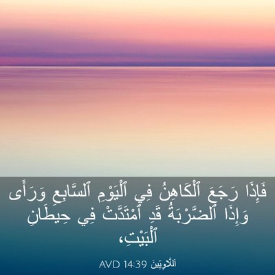 Picture 03 - اَللَّاوِيِّينَ 14:39 AVD - فَإِذَا رَجَعَ ٱلْكَاهِنُ - Bible Verse Picture
