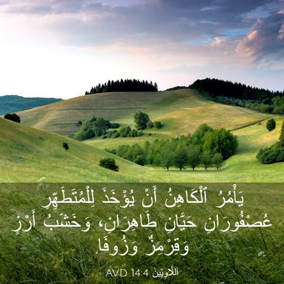 Picture 03 - اَللَّاوِيِّينَ 14:4 AVD - يَأْمُرُ ٱلْكَاهِنُ أَنْ - Bible Verse Picture