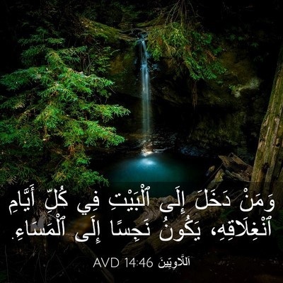 Picture 03 - اَللَّاوِيِّينَ 14:46 AVD - وَمَنْ دَخَلَ إِلَى - Bible Verse Picture