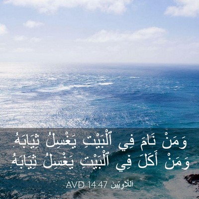 Picture 03 - اَللَّاوِيِّينَ 14:47 AVD - وَمَنْ نَامَ فِي ٱلْبَيْتِ - Bible Verse Picture