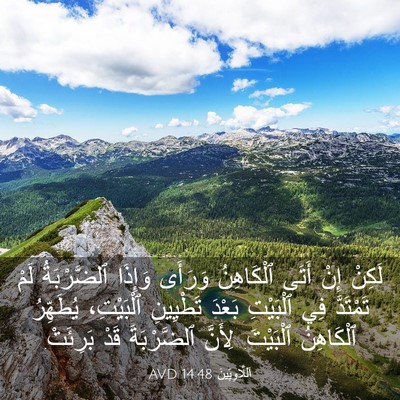 Picture 03 - اَللَّاوِيِّينَ 14:48 AVD - لَكِنْ إِنْ أَتَى - Bible Verse Picture