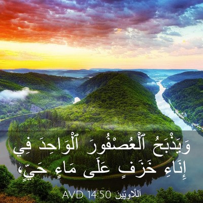 Picture 03 - اَللَّاوِيِّينَ 14:50 AVD - وَيَذْبَحُ ٱلْعُصْفُورَ - Bible Verse Picture