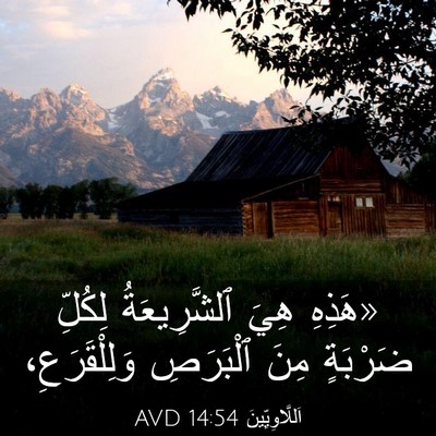 Picture 03 - اَللَّاوِيِّينَ 14:54 AVD - «هَذِهِ هِيَ ٱلشَّرِيعَةُ - Bible Verse Picture