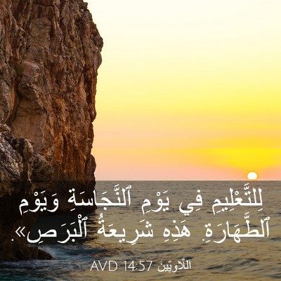 Picture 03 - اَللَّاوِيِّينَ 14:57 AVD - لِلتَّعْلِيمِ فِي يَوْمِ - Bible Verse Picture