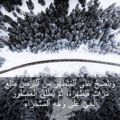 Picture 03 - اَللَّاوِيِّينَ 14:7 AVD - وَيَنْضِحُ عَلَى - Bible Verse Picture