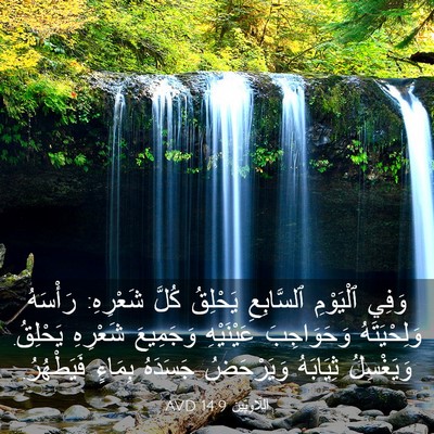 Picture 03 - اَللَّاوِيِّينَ 14:9 AVD - وَفِي ٱلْيَوْمِ - Bible Verse Picture