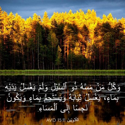 Picture 03 - اَللَّاوِيِّينَ 15:11 AVD - وَكُلُّ مَنْ مَسَّهُ ذُو - Bible Verse Picture