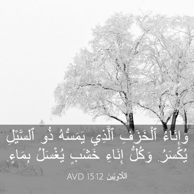 Picture 03 - اَللَّاوِيِّينَ 15:12 AVD - وَإِنَاءُ ٱلْخَزَفِ - Bible Verse Picture