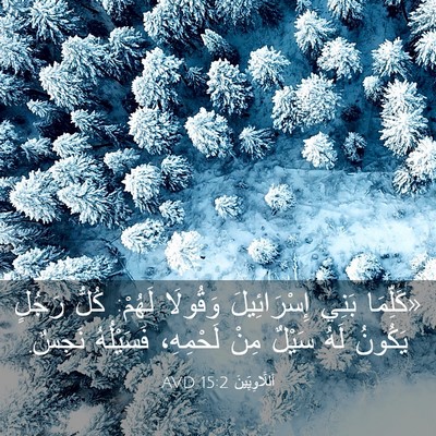 Picture 03 - اَللَّاوِيِّينَ 15:2 AVD - «كَلِّمَا بَنِي - Bible Verse Picture
