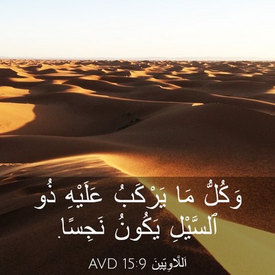 Picture 03 - اَللَّاوِيِّينَ 15:9 AVD - وَكُلُّ مَا يَرْكَبُ - Bible Verse Picture