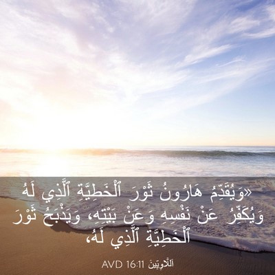 Picture 03 - اَللَّاوِيِّينَ 16:11 AVD - «وَيُقَدِّمُ هَارُونُ - Bible Verse Picture