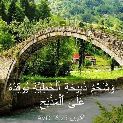 Picture 03 - اَللَّاوِيِّينَ 16:25 AVD - وَشَحْمُ ذَبِيحَةِ - Bible Verse Picture