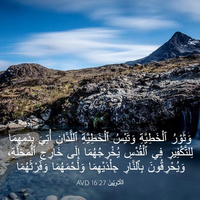 Picture 03 - اَللَّاوِيِّينَ 16:27 AVD - وَثَوْرُ ٱلْخَطِيَّةِ - Bible Verse Picture