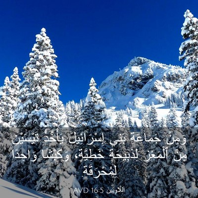 Picture 03 - اَللَّاوِيِّينَ 16:5 AVD - وَمِنْ جَمَاعَةِ بَنِي - Bible Verse Picture