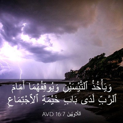 Picture 03 - اَللَّاوِيِّينَ 16:7 AVD - وَيَأْخُذُ ٱلتَّيْسَيْنِ - Bible Verse Picture