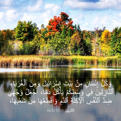 Picture 03 - اَللَّاوِيِّينَ 17:10 AVD - وَكُلُّ إِنْسَانٍ مِنْ - Bible Verse Picture