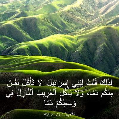 Picture 03 - اَللَّاوِيِّينَ 17:12 AVD - لِذَلِكَ قُلْتُ لِبَنِي - Bible Verse Picture