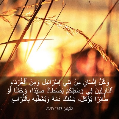 Picture 03 - اَللَّاوِيِّينَ 17:13 AVD - وَكُلُّ إِنْسَانٍ مِنْ - Bible Verse Picture