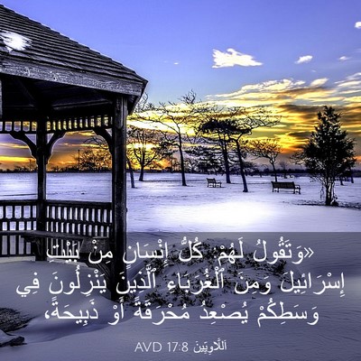 Picture 03 - اَللَّاوِيِّينَ 17:8 AVD - «وَتَقُولُ لَهُمْ: كُلُّ - Bible Verse Picture