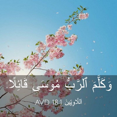 Picture 03 - اَللَّاوِيِّينَ 18:1 AVD - وَكَلَّمَ ٱلرَّبُّ مُوسَى - Bible Verse Picture