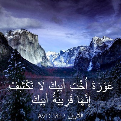 Picture 03 - اَللَّاوِيِّينَ 18:12 AVD - عَوْرَةَ أُخْتِ أَبِيكَ - Bible Verse Picture