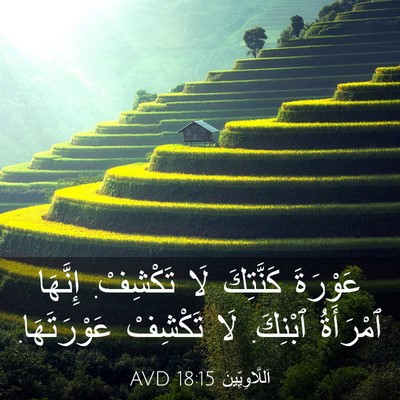 Picture 03 - اَللَّاوِيِّينَ 18:15 AVD - عَوْرَةَ كَنَّتِكَ لَا - Bible Verse Picture