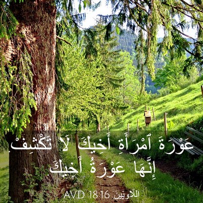 Picture 03 - اَللَّاوِيِّينَ 18:16 AVD - عَوْرَةَ ٱمْرَأَةِ - Bible Verse Picture