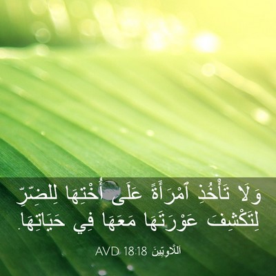Picture 03 - اَللَّاوِيِّينَ 18:18 AVD - وَلَا تَأْخُذِ ٱمْرَأَةً - Bible Verse Picture