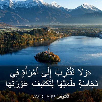 Picture 03 - اَللَّاوِيِّينَ 18:19 AVD - «وَلَا تَقْتَرِبْ إِلَى - Bible Verse Picture
