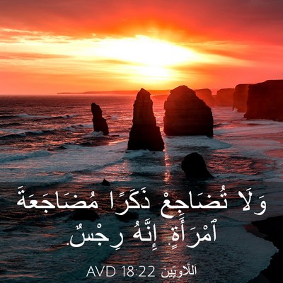 Picture 03 - اَللَّاوِيِّينَ 18:22 AVD - وَلَا تُضَاجِعْ ذَكَرًا - Bible Verse Picture