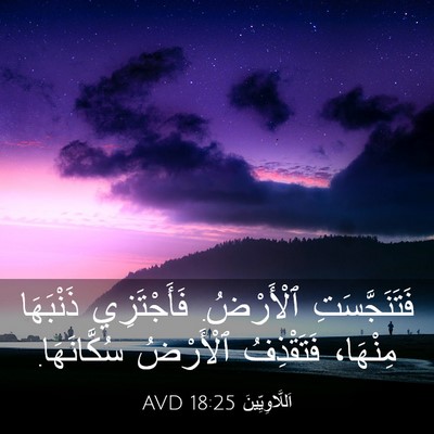 Picture 03 - اَللَّاوِيِّينَ 18:25 AVD - فَتَنَجَّسَتِ ٱلْأَرْضُ. - Bible Verse Picture